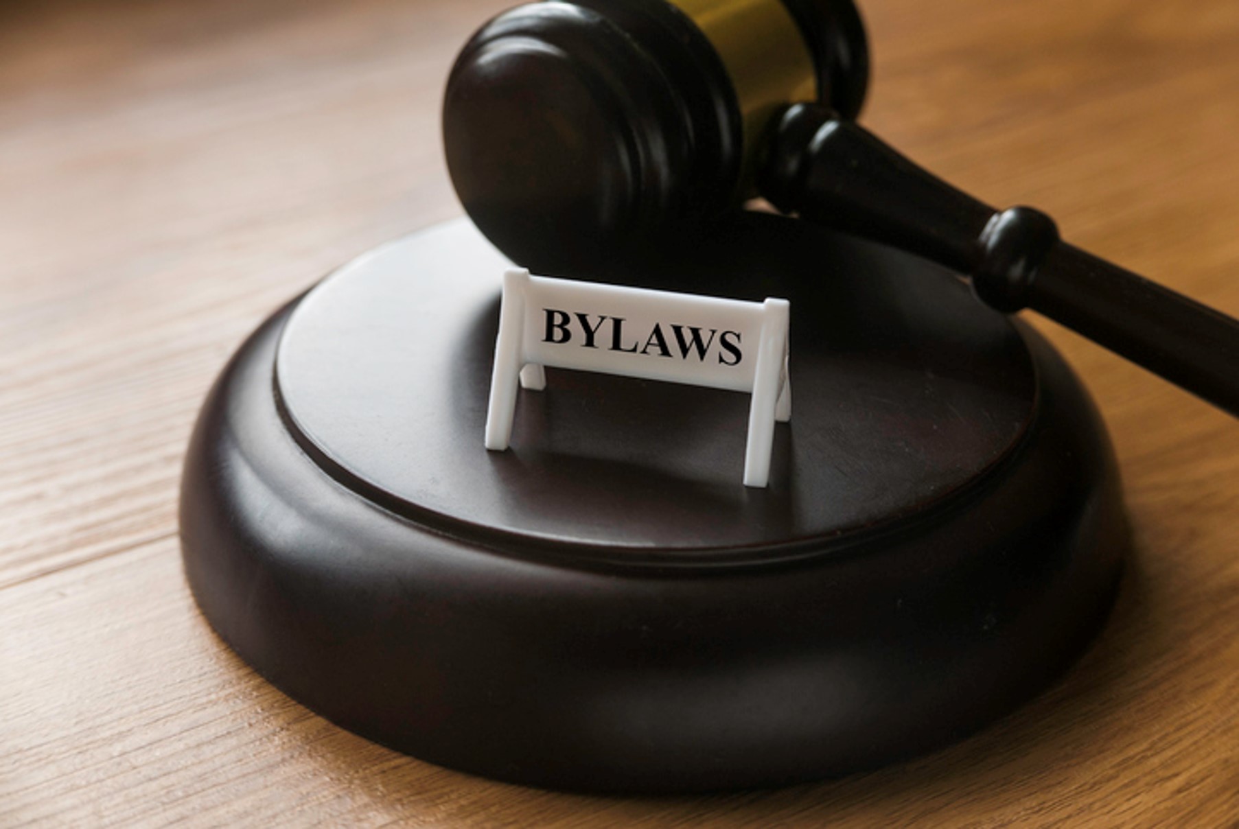 Bylaws Gavel